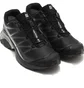Кроссовки мужские Salomon Xt-Pathway Gtx Black 475775