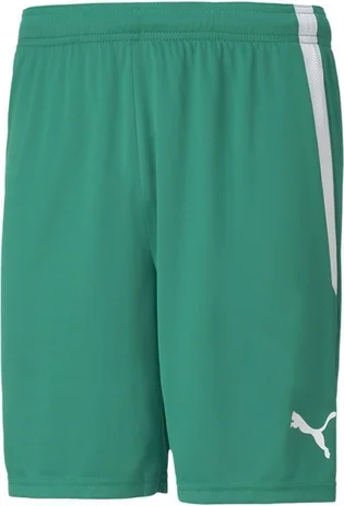 Шорти чоловічі Puma Teamliga Shorts Green 704924-05
