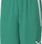 Шорти чоловічі Puma Teamliga Shorts Green 704924-05