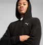 Толстовка мужская Puma Ess Small Logo Full-Zip Black 682592-01