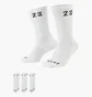 Шкарпетки унісекс Air Jordan U Essential Crew (3 пари) White DA5718-100