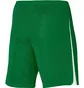 Шорты мужские Nike Shorts League Iii Knit Short Green DR0960-302