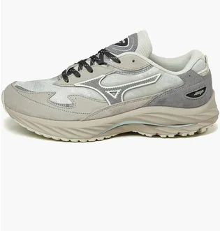 Кроссовки мужские Mizuno Wave Rider Beta Gtx Grey D1GA245501