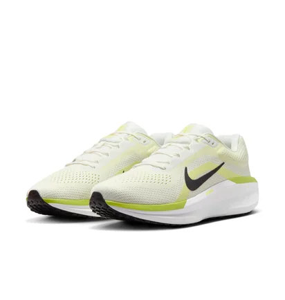 Кросівки чоловічі Nike Air Winflo 11 Beige FJ9509-101