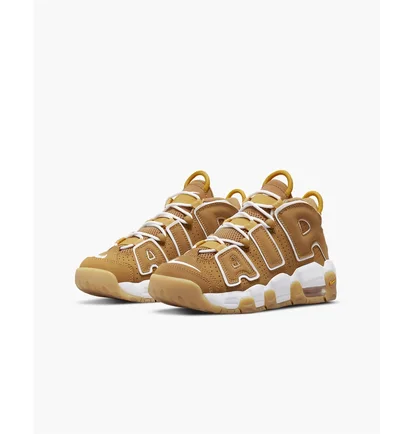 Кросівки дитячі Nike Big Kids Shoes Brown Dq4713-700
