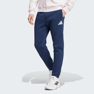 Штаны мужские Adidas Poland Future Icons Blue JF6683