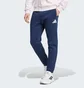 Штаны мужские Adidas Poland Future Icons Blue JF6683