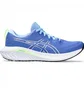 Кроссовки женские Asics Gel Excite 10 Blue 1012B418-403