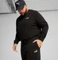 Штаны мужские Puma Ess No. 1 Logo Sweatpants Black 682606-01