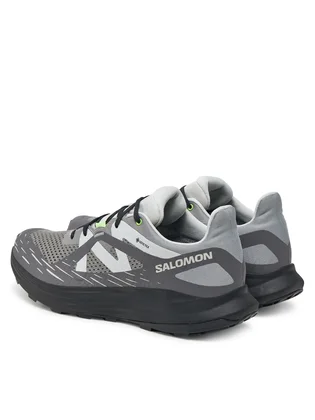 Кроссовки мужские Salomon Ultra Flow Gtx Grey L47692700