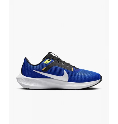 Кросівки чоловічі Nike Pegasus 40 Blue DV3853-401