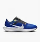 Кросівки чоловічі Nike Pegasus 40 Blue DV3853-401