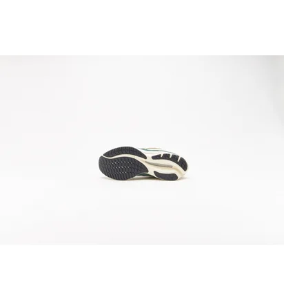 Кросівки чоловічі Mizuno Wave Rider Beta Beige/Green D1GA330901