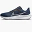 Кросівки чоловічі Nike Pegasus 40 Blue DV3853-400