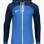 Олимпийка мужская Nike Strike Blue DR2571-463
