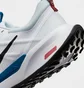 Кросівки жіночі Nike Juniper Trail 2 Next Nature Trail Running Shoes White DM0821-104