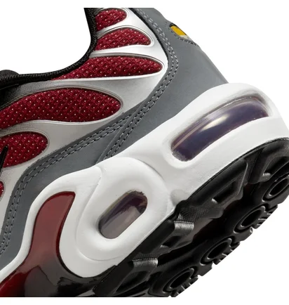 Кросівки дитячі Nike Air Max Plus Gs Bordo/Grey CD0609-602