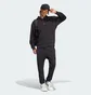 Худи мужское Adidas All Szn Fleece Black IX1253