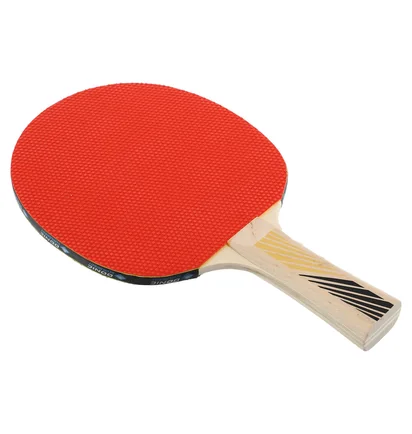 Ракетка для настольного тенниса Donic Legends Black/Red 705221