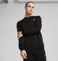 Свитшот мужской Puma Ess Crew Black 682566-01