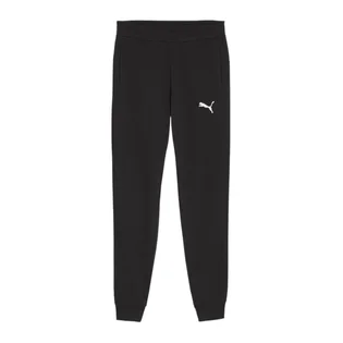 Штаны мужские Puma Teamgoal Casuals Black 658598-03