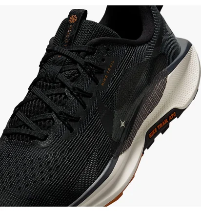Кросівки чоловічі Nike Pegasus Trail 5 Black DV3864-006
