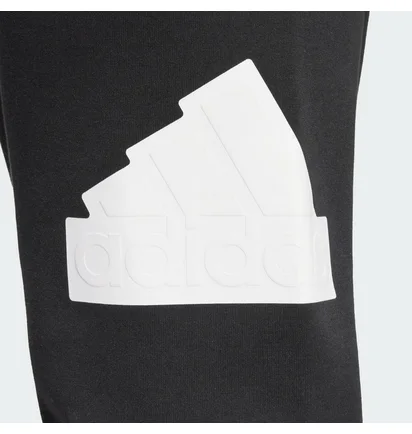 Штаны мужские Adidas Future Icons Badge Of Sport Black IN3322