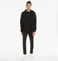 Толстовка чоловіча Puma Fz Black 589349-01