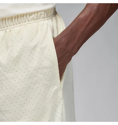 Шорты мужские Air Jordan Sport Dri-Fit White FN5816-113