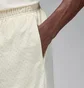 Шорты мужские Air Jordan Sport Dri-Fit White FN5816-113