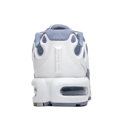 Кроссовки женские Nike Air Max Plus Blue/White FV4081-101