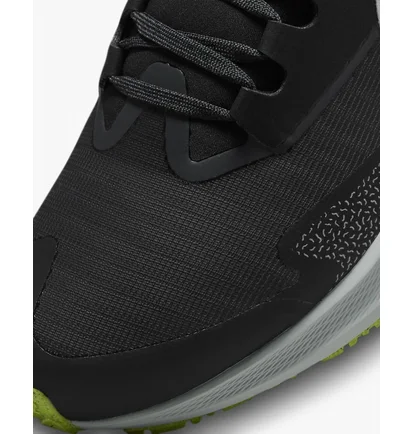 Кросівки жіночі Nike Pegasus 39 Shield Running Shoes Black Do7626-002