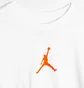 Футболка чоловіча Air Jordan Jumpman Df Ss Crew White CW5190-100