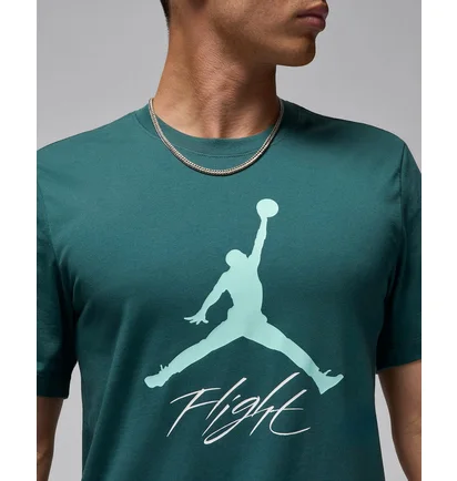 Футболка мужская Air Jordan Flight Hbr Tee Green AO0664-366