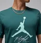 Футболка мужская Air Jordan Flight Hbr Tee Green AO0664-366