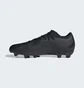 Бутсы мужские Adidas X Crazyfast.2 Firm Ground Cleats Black GY7424