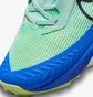 Кросівки жіночі Nike Air Zoom Terra Kiger 8 Green Dh0654-301
