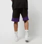 Шорти чоловічі NEW ERA Nba Colour Block Short Los Angeles Lakers Black 60416375