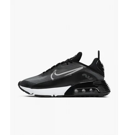 Кросівки чоловічі Nike Air Max 2090 Black CW7306-001