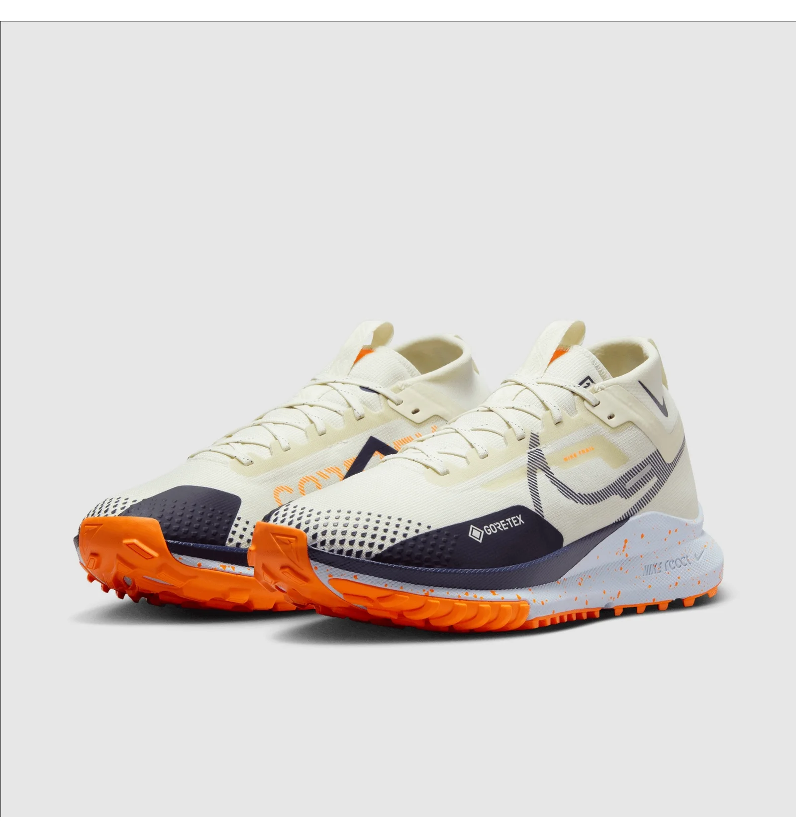 ᐉ Кроссовки мужские Nike Pegasus Trail 4 Gore-Tex Beige DJ7926