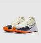 Кроссовки мужские Nike Pegasus Trail 4 Gore-Tex Beige DJ7926-004