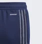 Штани дитячі Adidas Tiro 21 Track Pants Blue Gk9666