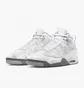 Кроссовки мужские Air Jordan Dub Zero White 311046-107
