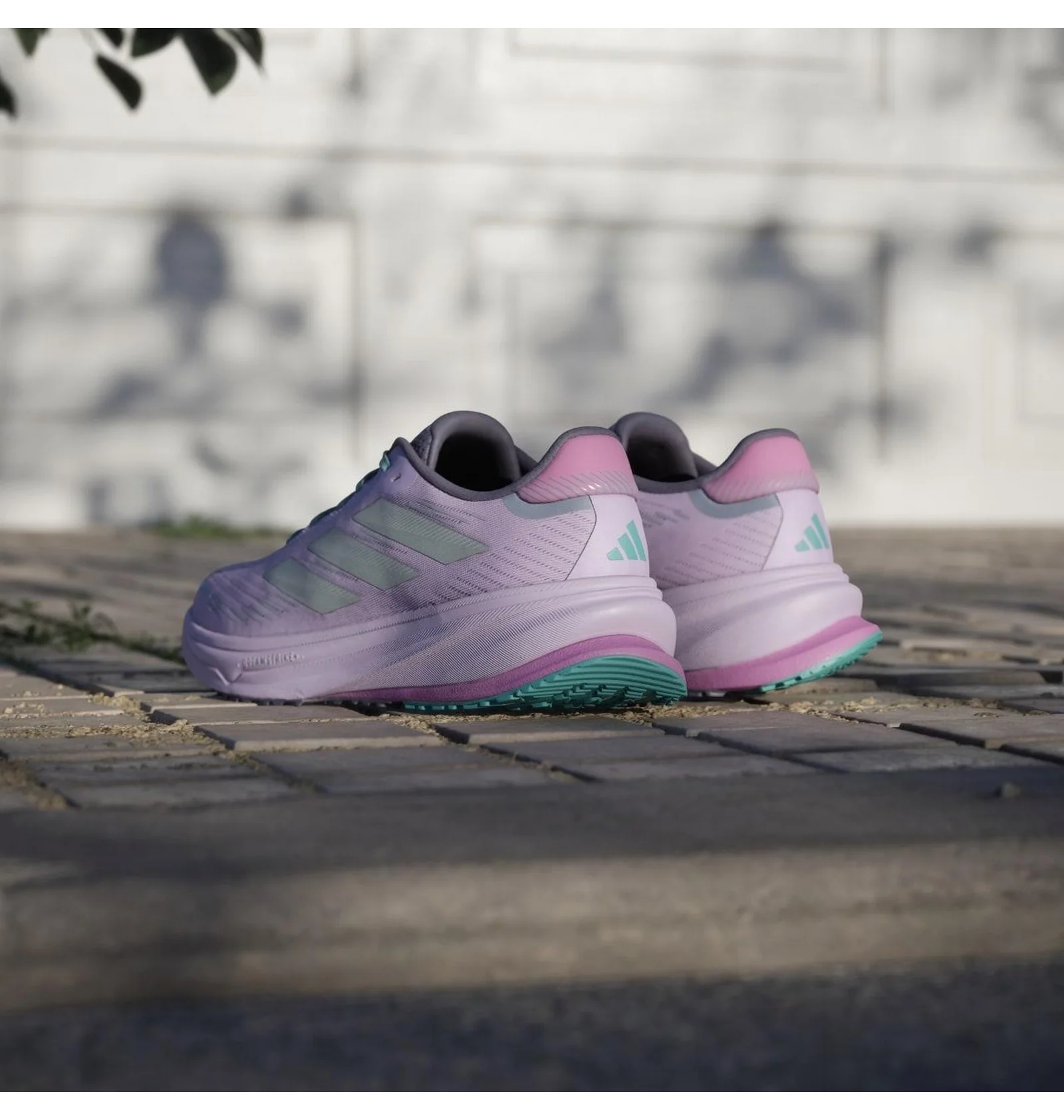 ᐉ Кросівки жіночі Adidas Supernova Rise Gtx Running Violet JQ5486