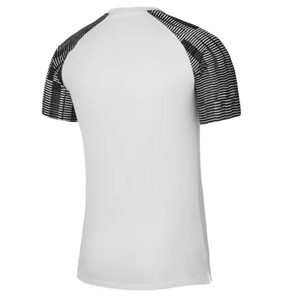Футболка мужская Nike Dri-Fit Academy White DH8031-104