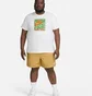 Футболка мужская Nike Sportswear T-Shirt White FB9815-100