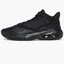 Кроссовки мужские Air Jordan Max Aura 4 Black Dn3687-001