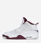 Кроссовки мужские Air Jordan Dub Zero White 311046-165
