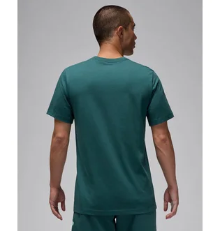 Футболка мужская Air Jordan Flight Hbr Tee Green AO0664-366