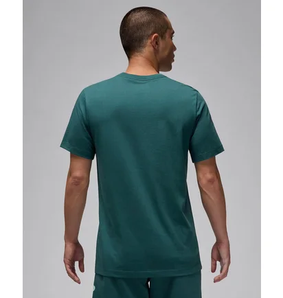 Футболка мужская Air Jordan Flight Hbr Tee Green AO0664-366